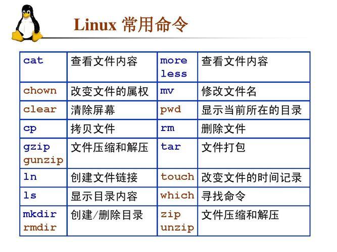 linux系统常用命令保存在哪个文件夹